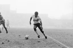 Ray Daniel appears out of the fog