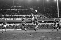 Brian Stein rises high