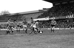 Brian Stein looks as though he is through the defence