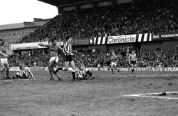 Brian Stein slots home but is offside