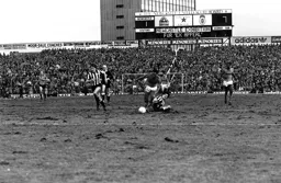 Brian Stein through again