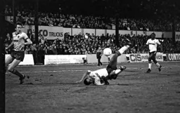 Brian Stein upside down