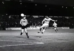 Brian Stein gets the equaliser