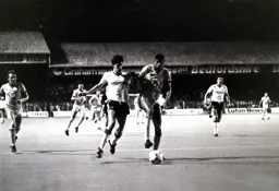 Mike Newell takes on Carlton Palmer