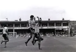 Mike Newell and Brian Stein celebrate