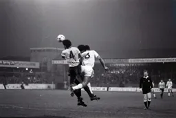 Brian Stein and John Trewick and Brian Stein battle to win the ball