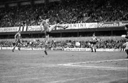 A high stepping Mike Newell