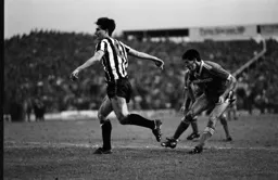 Mike Newell and Glenn Roeder watch the flight of the ball