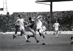 Robert Wilson darts in between Mick McCarthy and Steve Redmond