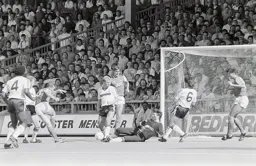 Les Sealey blocks