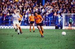 Brian Stein plays a forward pass