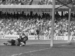 Pick that out. Peter Shilton is beaten by Kingsley Black`s shot and Town are 2-0 ahead