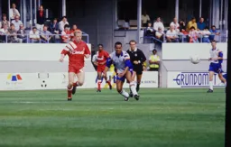 Brian Stein waiting to pounce