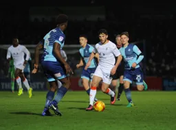 Luke Gambin looks to take on Anthony Stewart