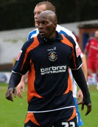 Wayne Andrews