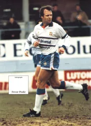 313_TrevorPeakePoster1993