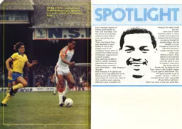 Spotlight on Brian Stein 1981