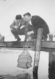 Gordon Turner, Ron Baynham
