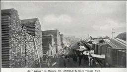 Inside the Timber Yard