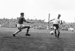 Alec Ashworth tries to push the ball past the Brighton goalkeeper