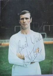 Matt Tees Signed Photo