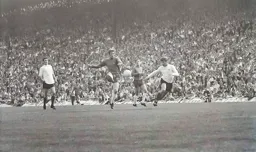Malcolm Macdonald prowling