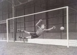 Ron Baynham 8