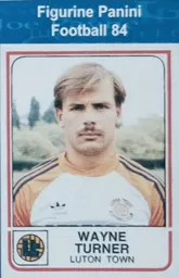 Wayne Turner Panini Football 84