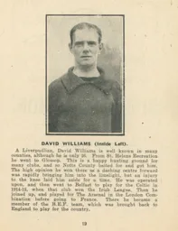 David Williams Luton News Handbook 1919-20