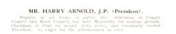 Harry Arnold Luton News Handbook 1933-34