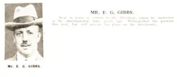Ernest Gibbs Luton News Handbook 1933-34